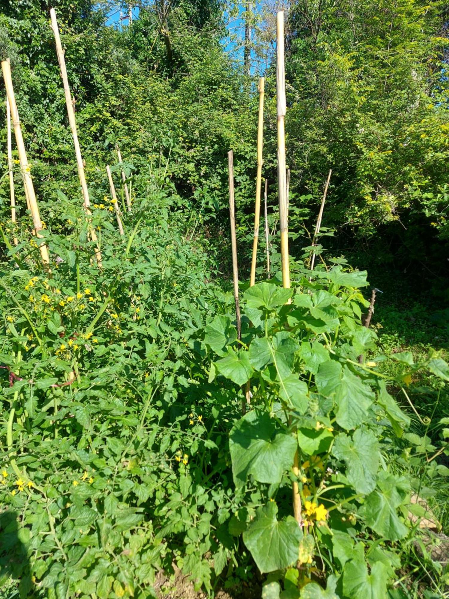 伊娃公寓 蒂瓦特 外观 照片